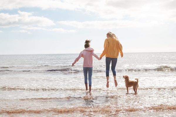 A Dog’s Day Out: Discover the Most Dog-Friendly Beaches in Norfolk