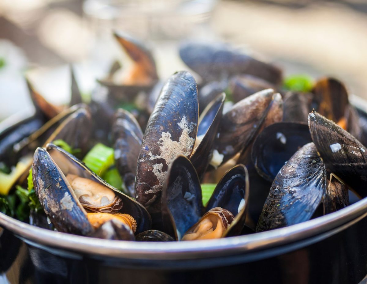 Freshly cooked mussels in a black pot