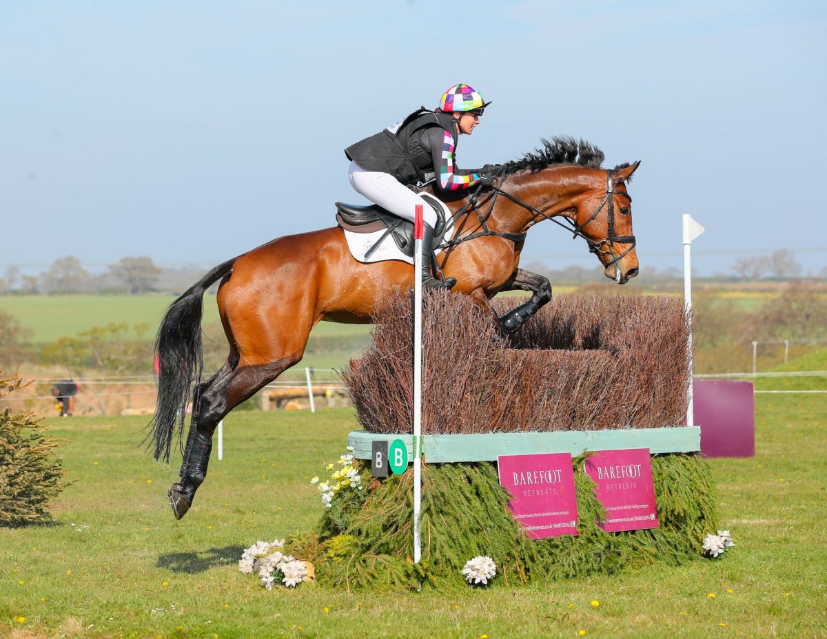 A brown horse jumping a brush cross country fence at Barefoot Retreats Burnham Market International Horse Trials