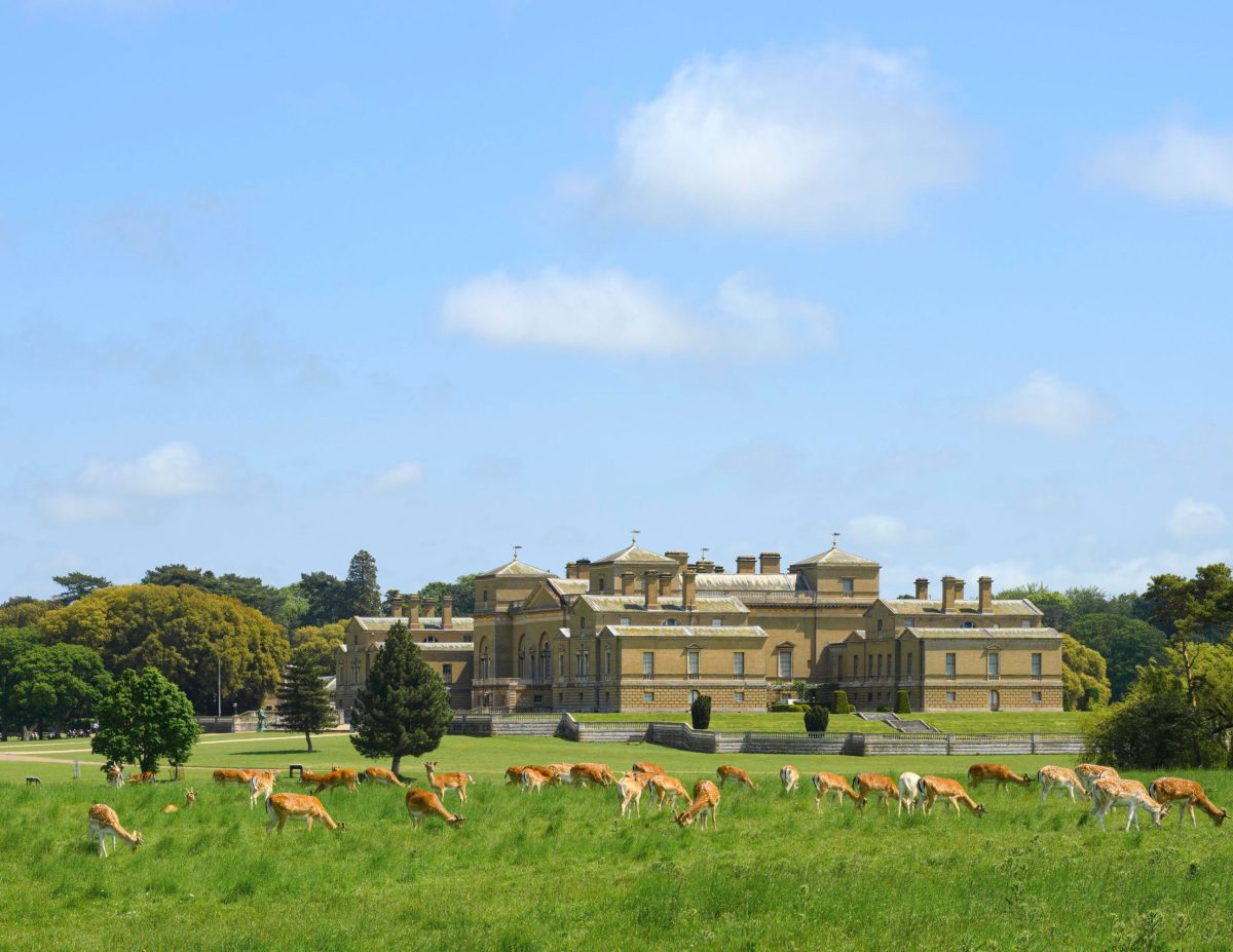Holkham Hall Estate with deer roaming the parkland