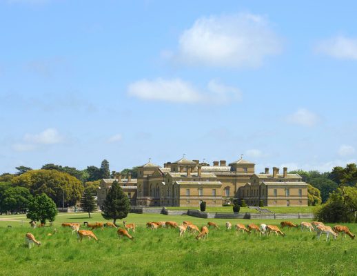 Holkham Hall Estate with deer roaming the parkland